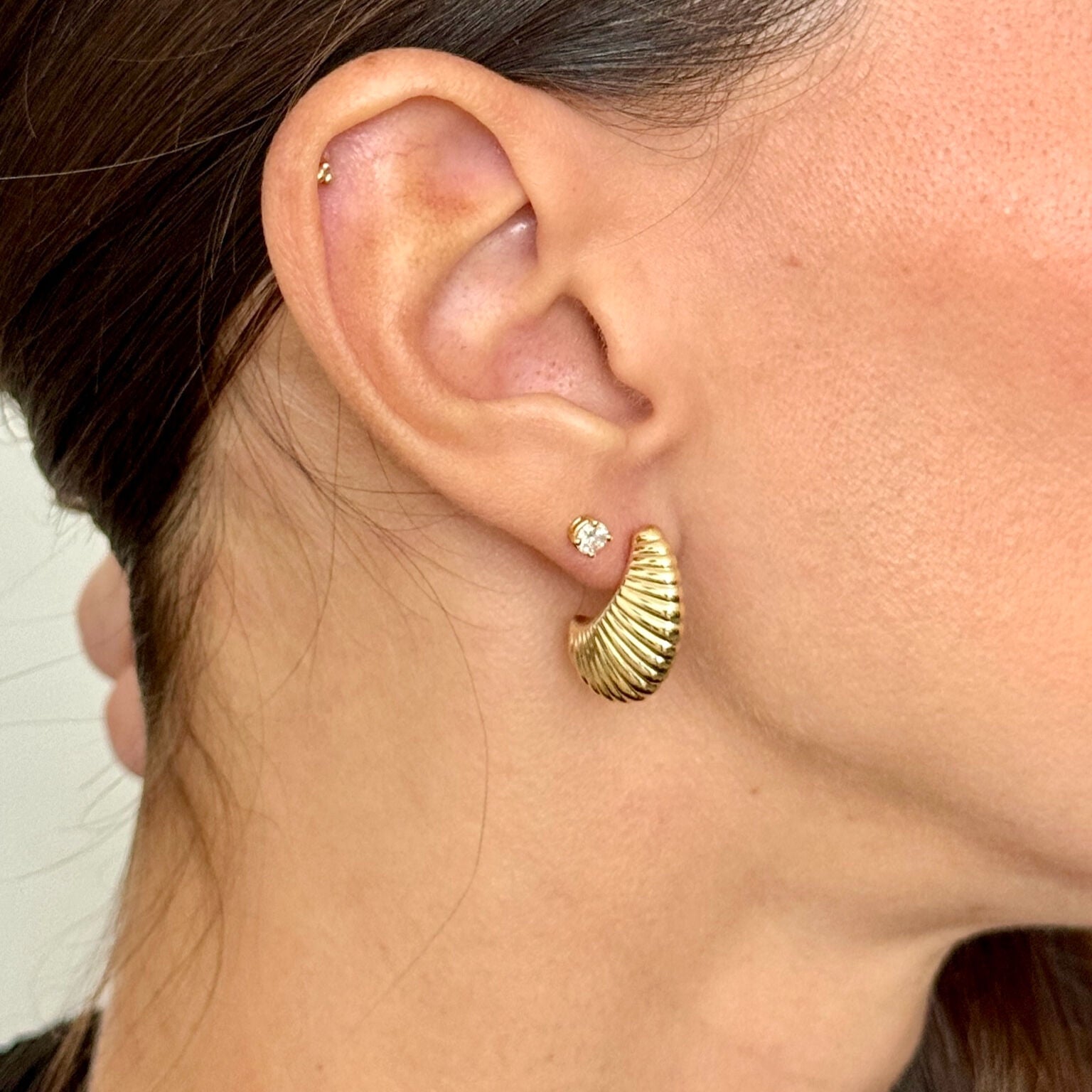 14K Gold Ribbed Shell Earrings