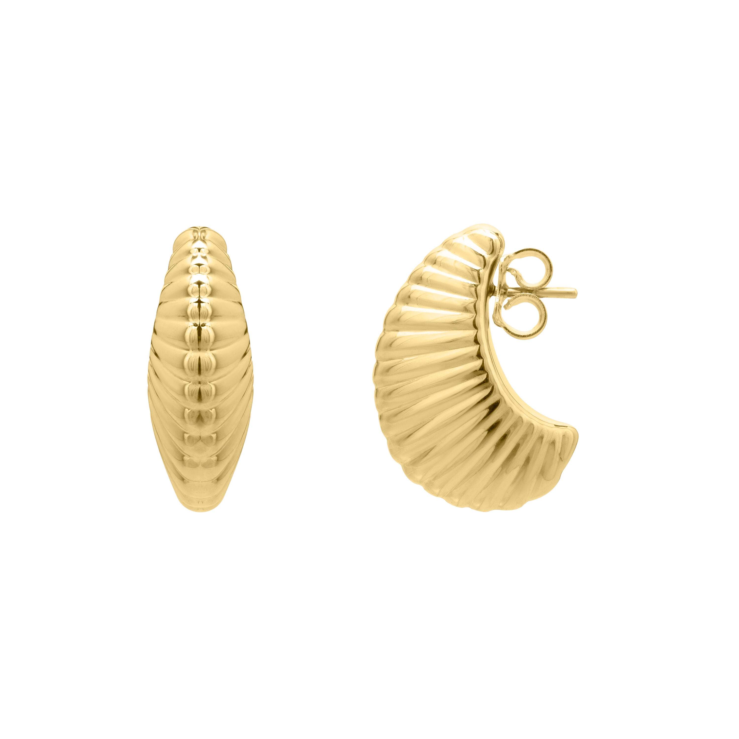 14K Gold Ribbed Shell Earrings